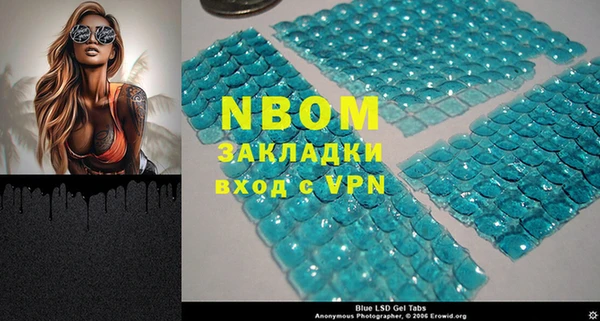 шишки Новозыбков