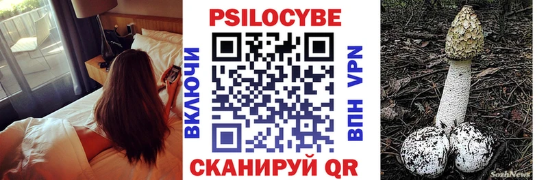 цены наркотик  Новый Оскол  Галлюциногенные грибы Cubensis 